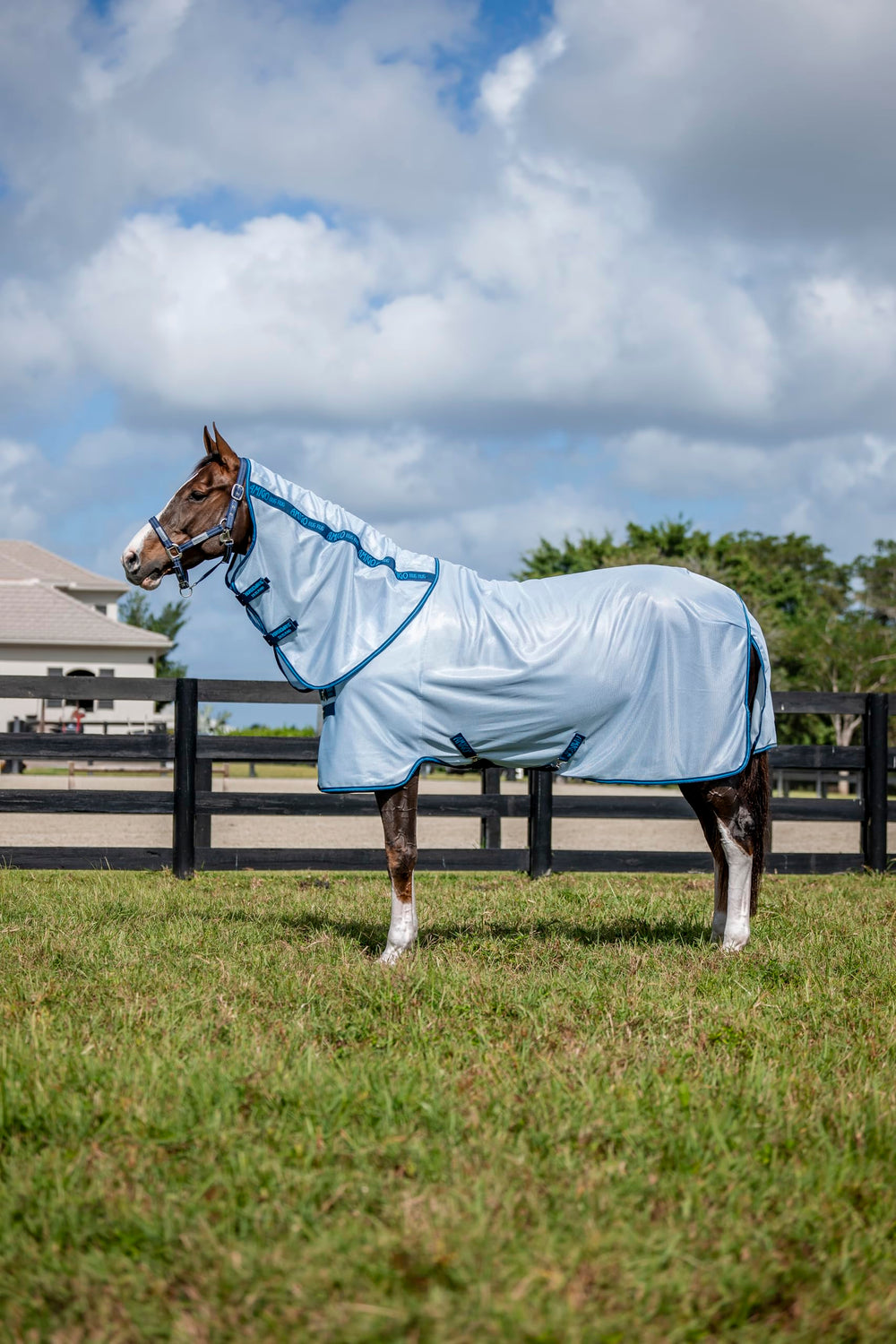 Horseware Amigo Bug Rug Plus protege contra mosquitos durante las salidas en campo.