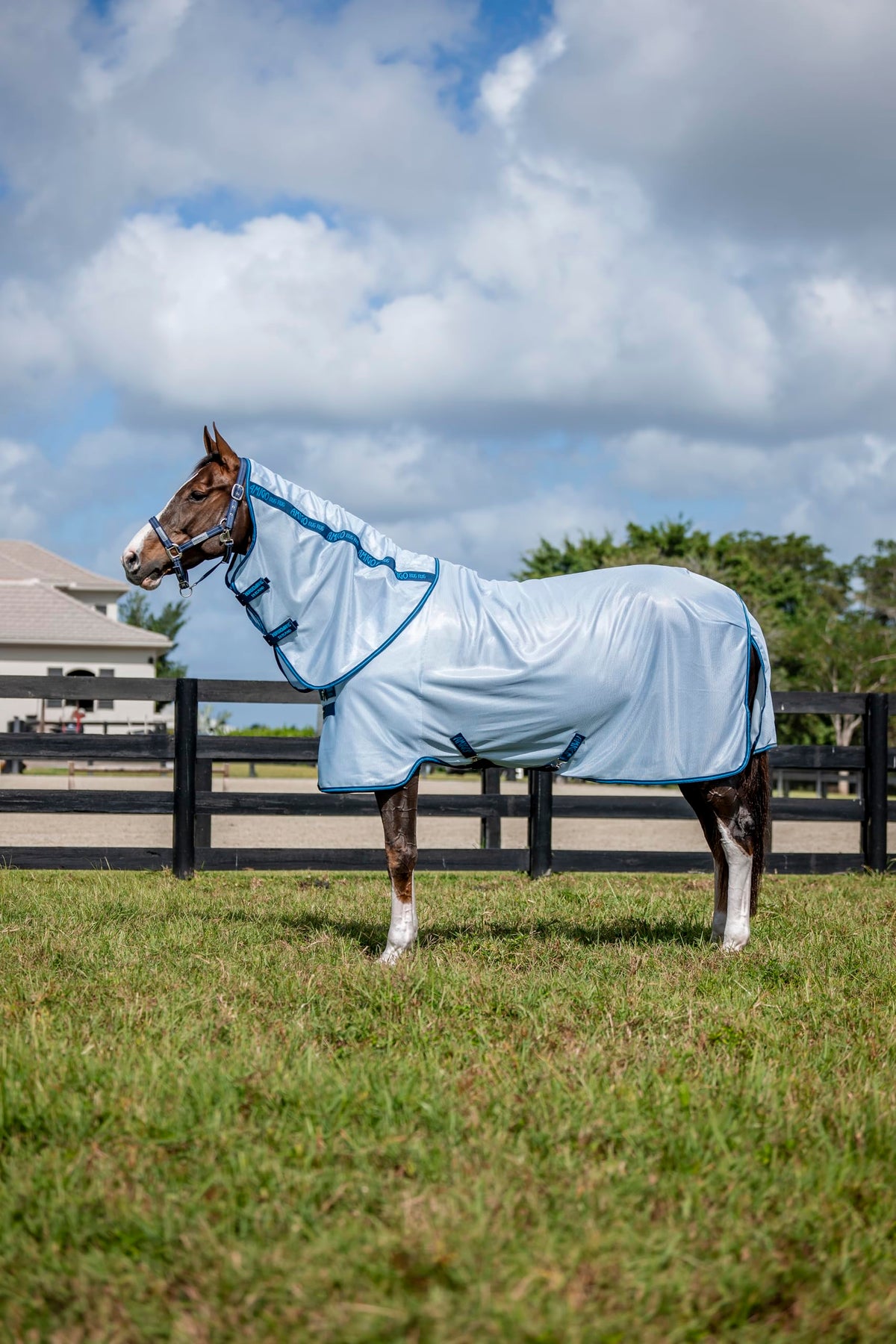 Horseware Amigo Bug Rug Plus protege contra mosquitos durante las salidas en campo.