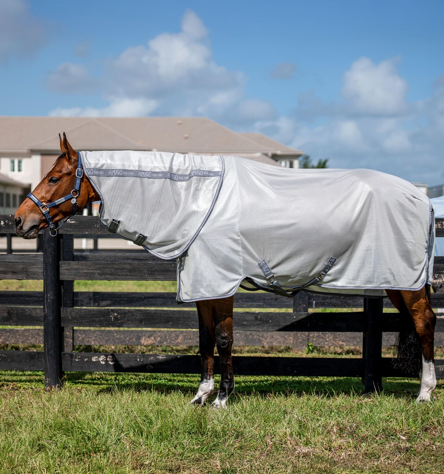 Horseware Amigo Manta Antiinsectos Plus, vista frontal, protege contra insectos y UV.