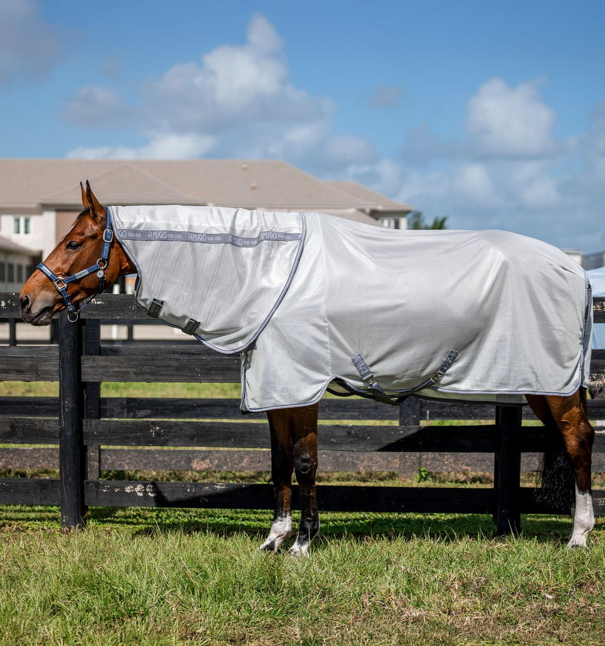 Horseware Amigo Manta Antiinsectos Plus, vista frontal, protege contra insectos y UV.