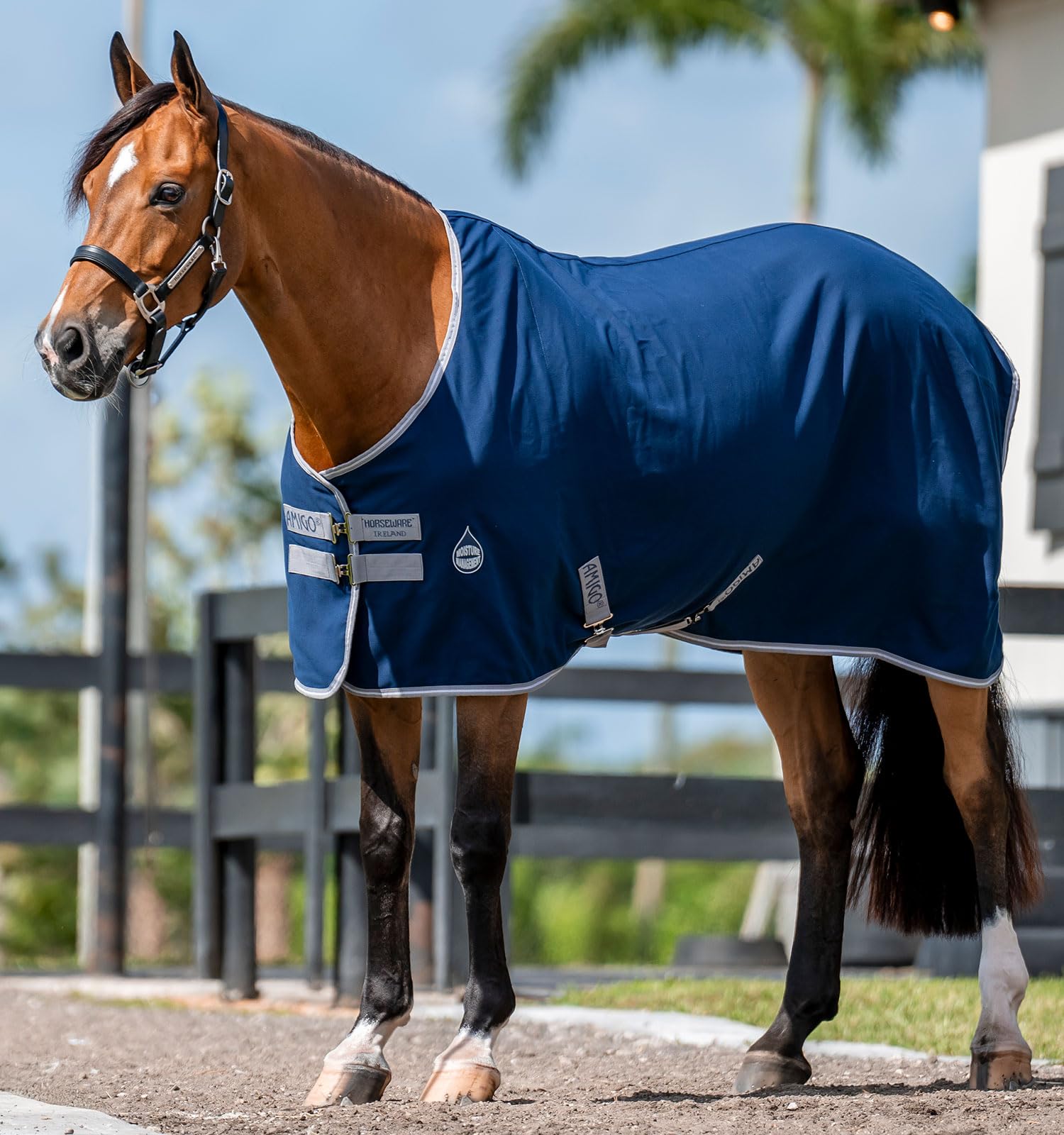 Horseware Amigo Stable Sheet, uso multifuncional para establo y viaje.