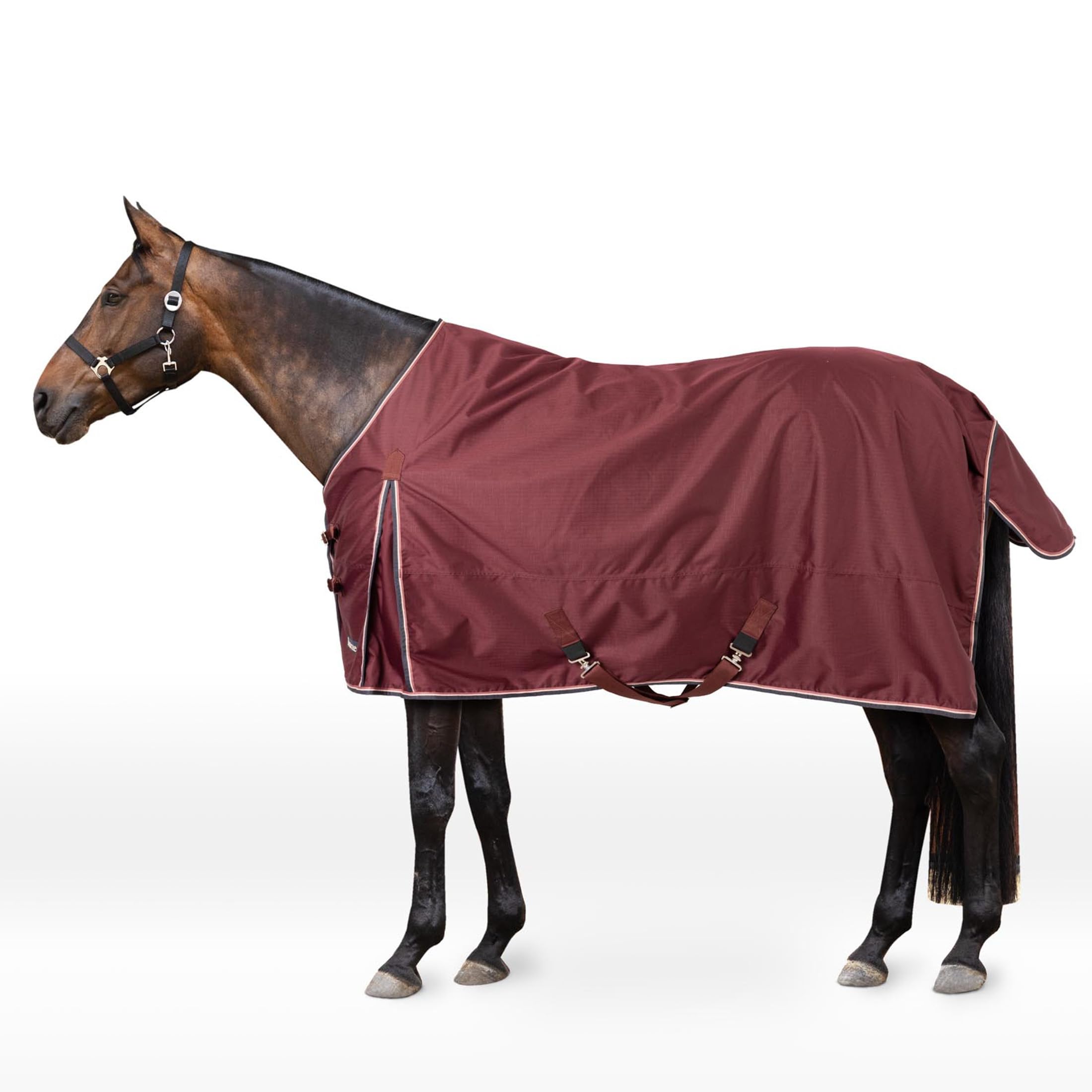 Horze Glasgow correas-cruzadas-bajo-vientre: sujeción estable para caballos activos.