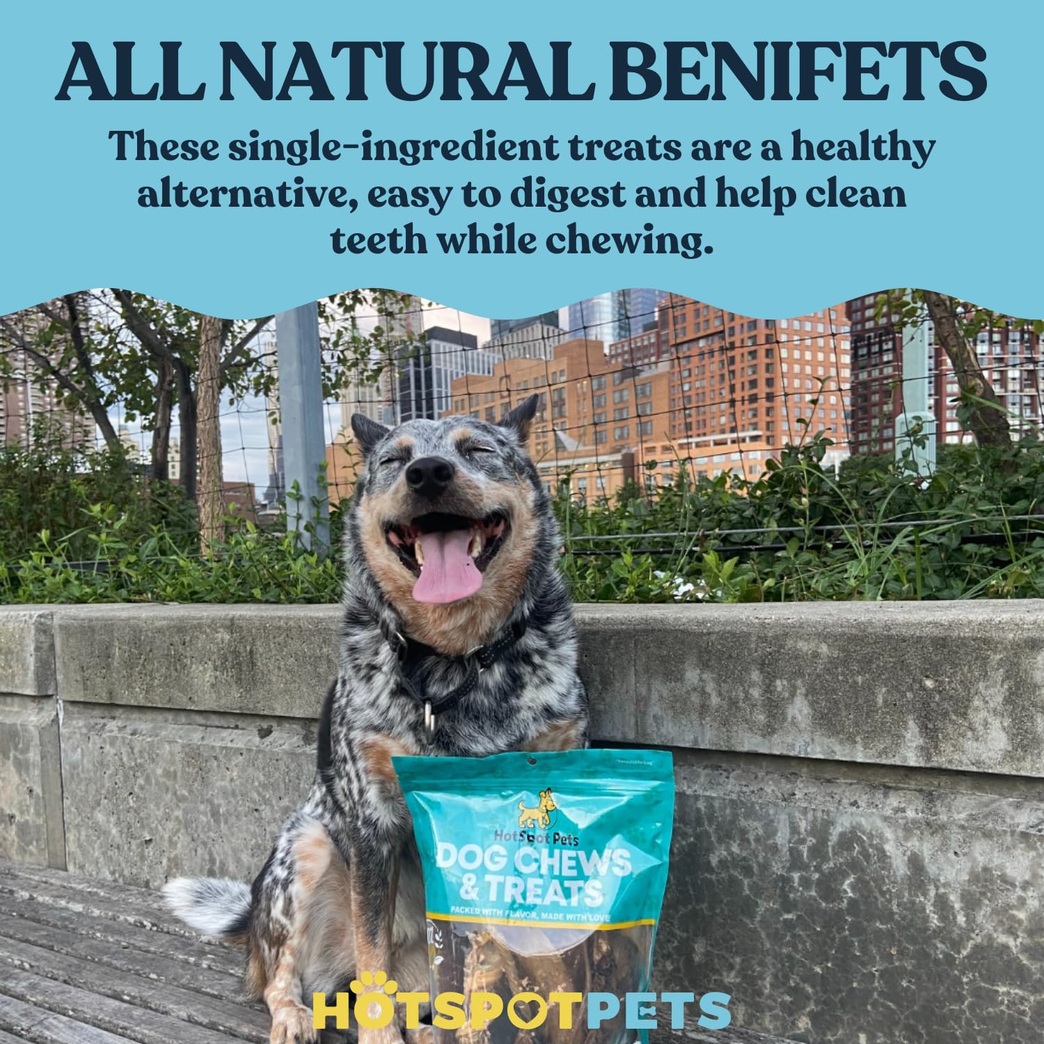 Hotspot Pets, mordedores naturales para perros, opción consciente y saludable.