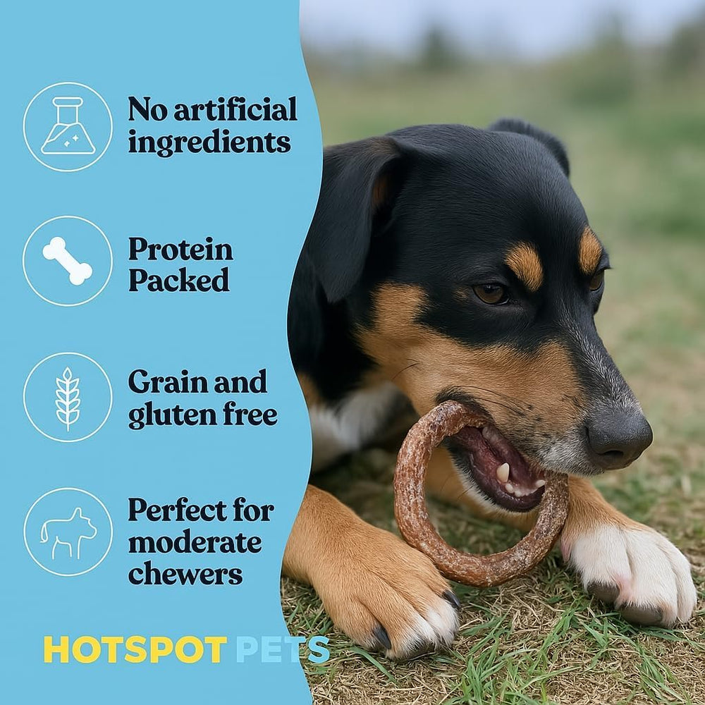 Hotspot Pets: anillos Bully Stick durante la masticación ayudan a limpieza dental.