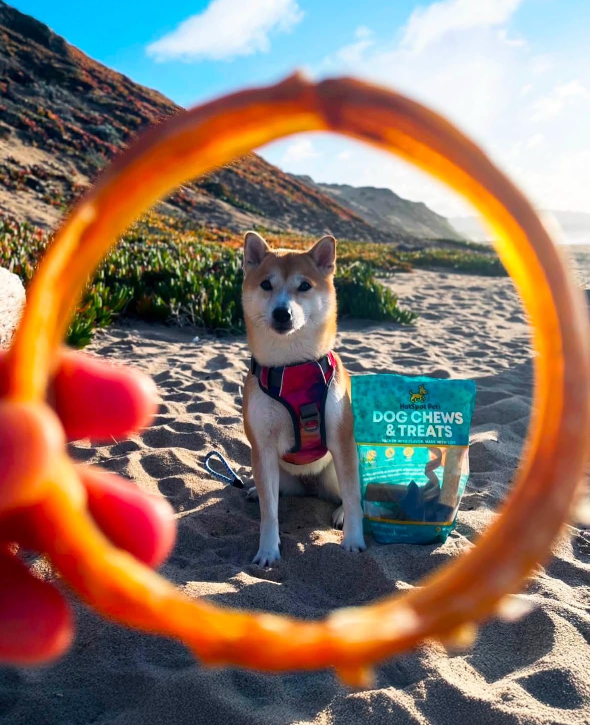 Hotspot Pets: anillos Bully Stick aptos para todas las tallas de perros.