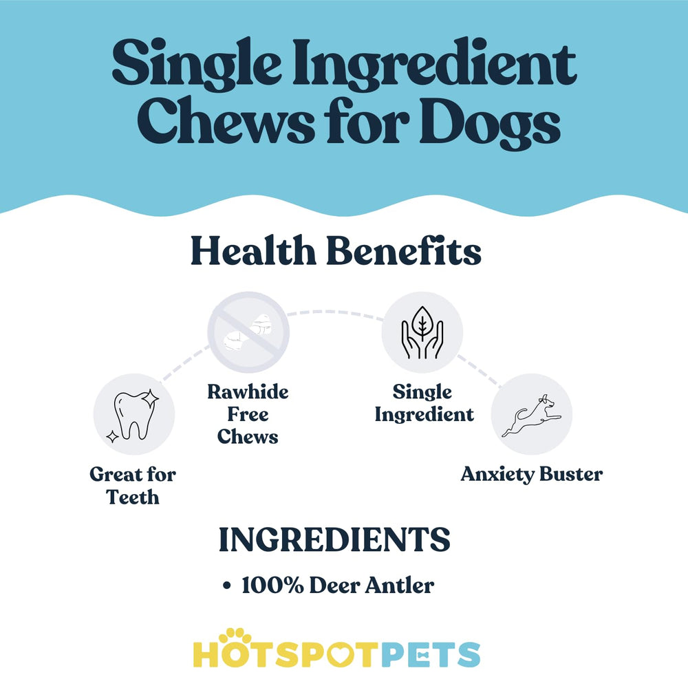 Hotspot Pets apoyo a la higiene dental de forma natural