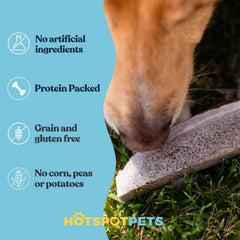Hotspot Pets astas de alce naturales, calidad premium para masticadores.