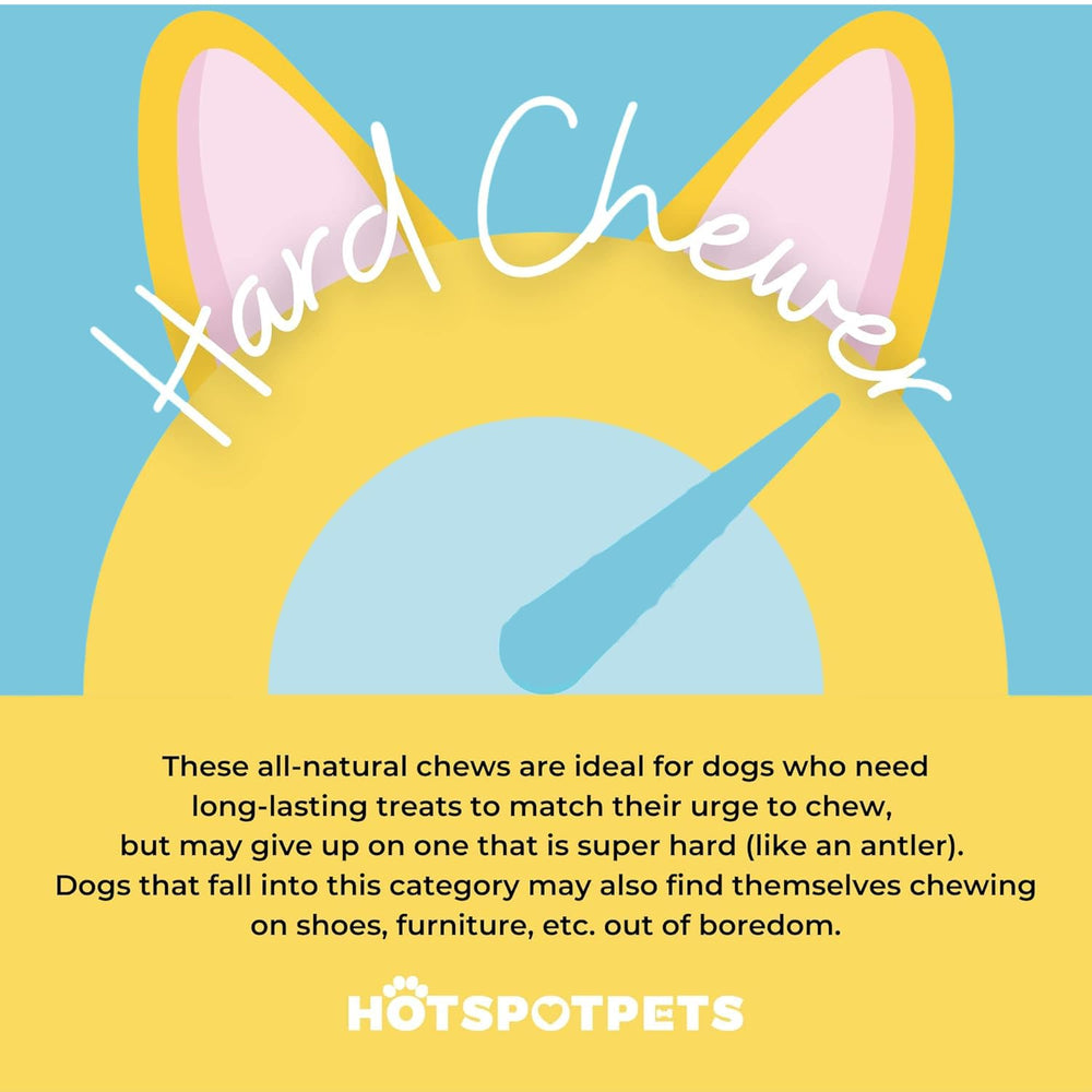 Hotspot Pets cascos de vaca para perro, sabor natural y atractivo.