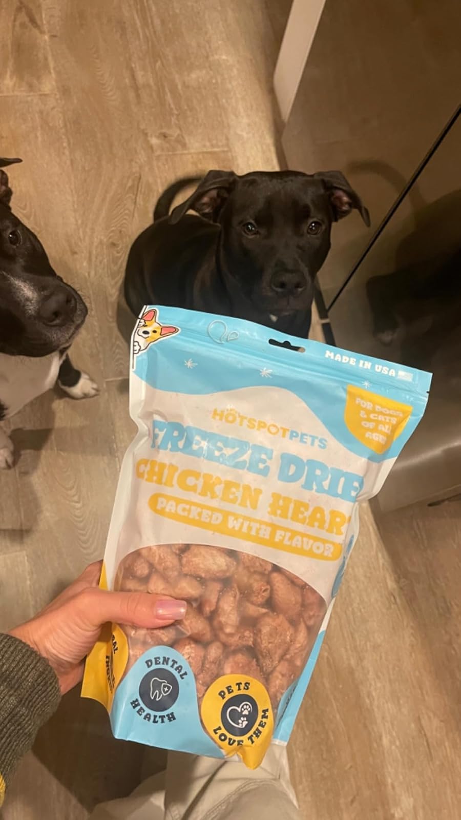 Para perros y gatos: corazones de pollo sin granos de Hotspot Pets