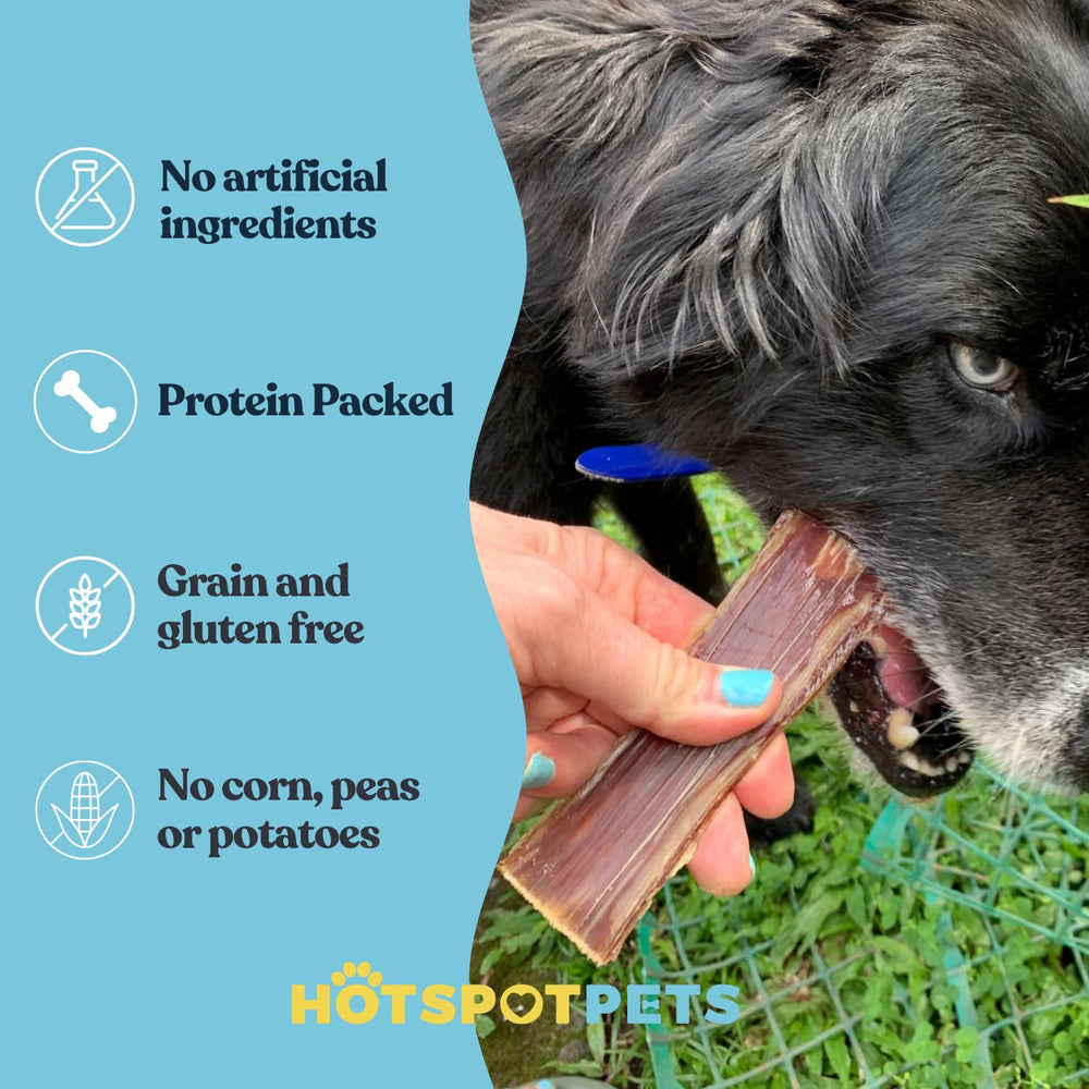 HotSpot Pets esófago de res: fomenta hábitos de masticación calmados
