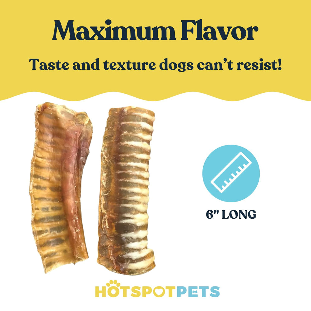 Higiene dental con tráquea de res para dientes más limpios de Hotspot Pets