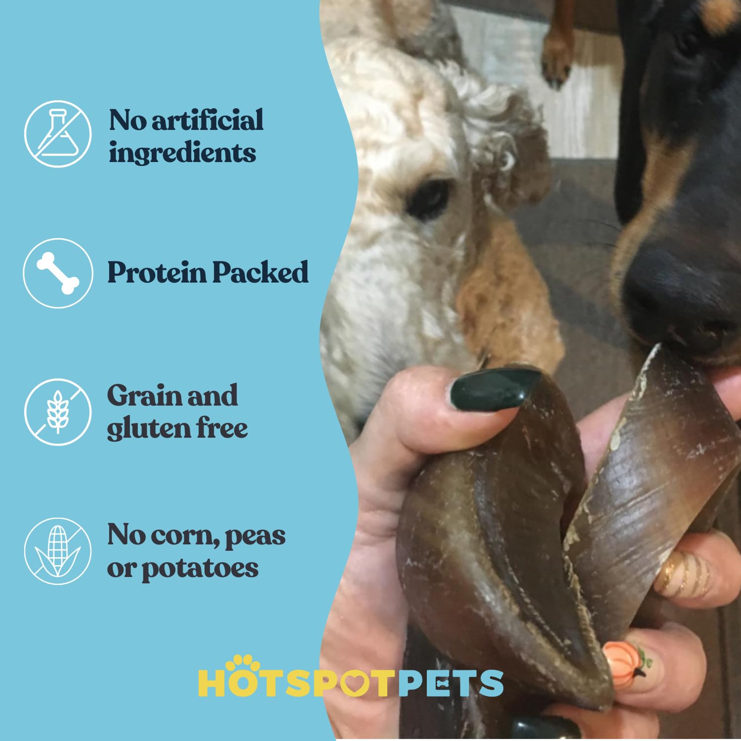 Hotspot Pets masticables de vaca para perros, alternativa a huesos crudos.