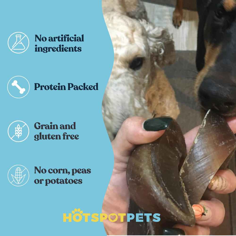 Hotspot Pets masticables de vaca para perros, alternativa a huesos crudos.