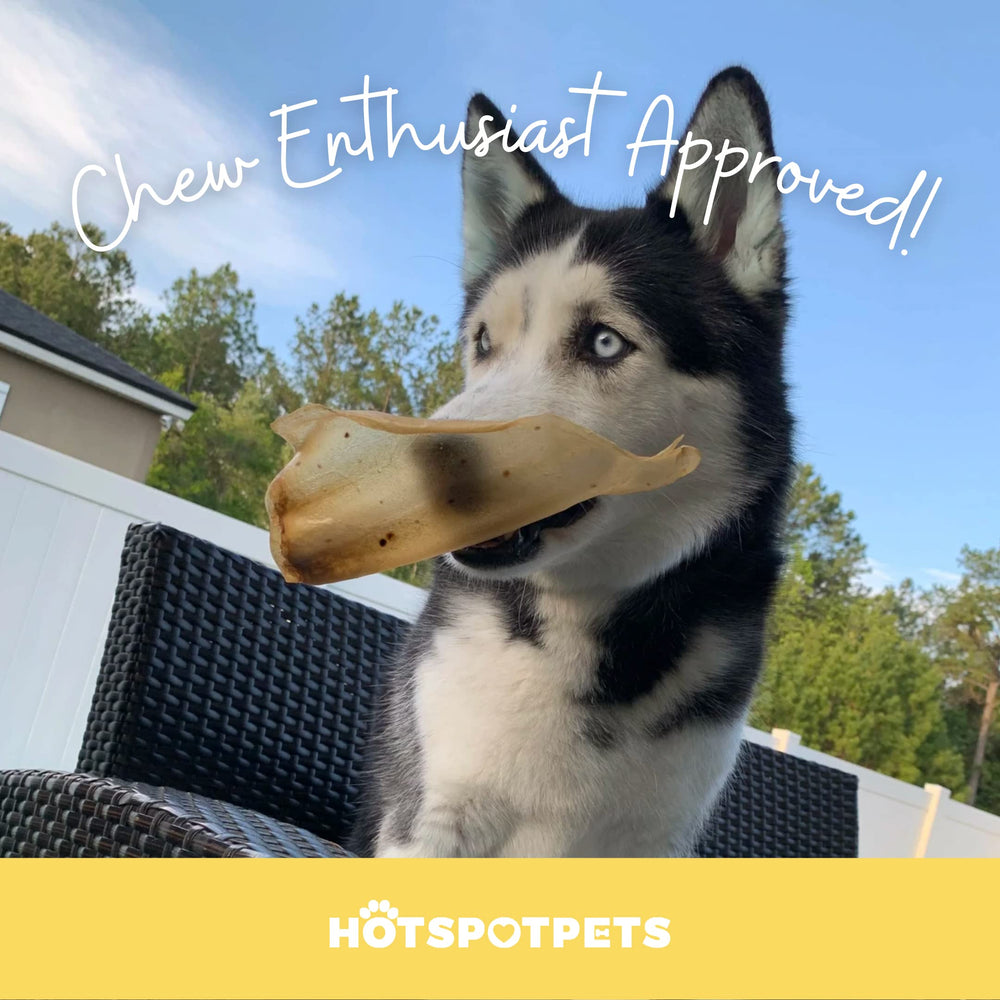 Hotspot Pets orejas de vaca hechas en EE. UU., apoyo a negocios familiares.