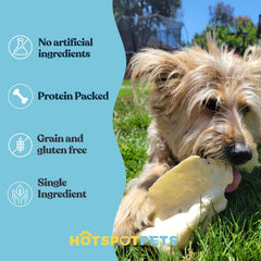 Hotspot Pets orejas de vaca sin químicos, snack puro para perros.