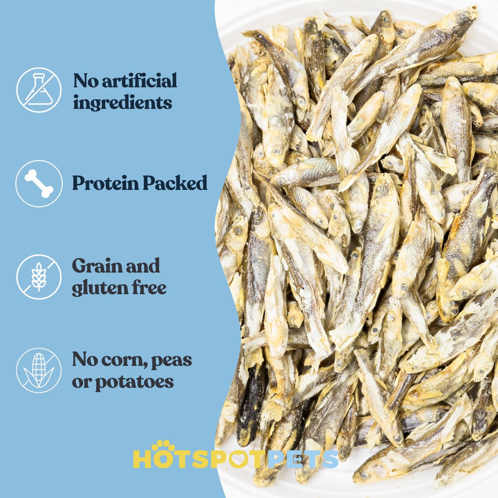 Hotspot Pets producto único, ingrediente único, sin granos y sin rellenos.