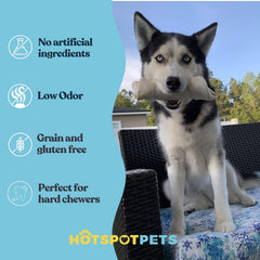 Hotspot Pets masticables para perros agresivos, opción segura para horas de juego.
