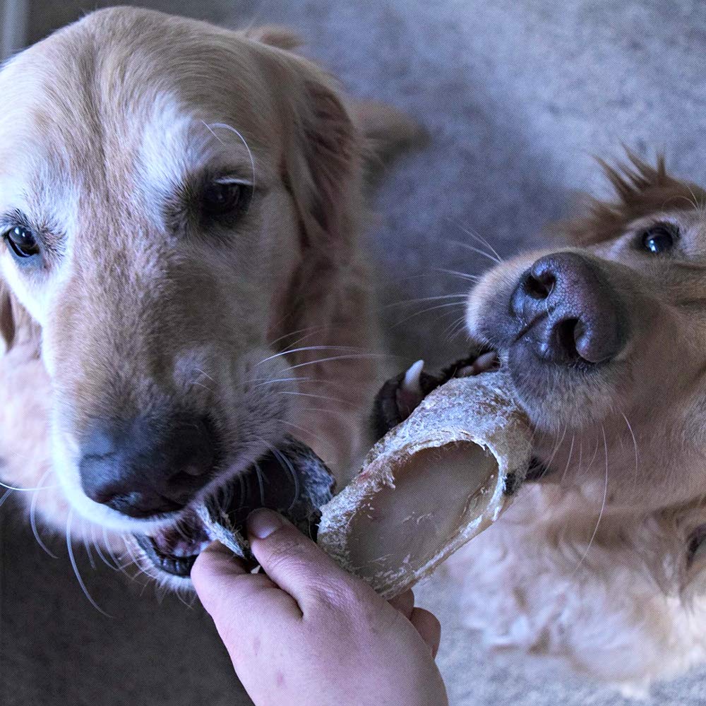 Hotspot Pets sabor natural, casco de vaca para perros.