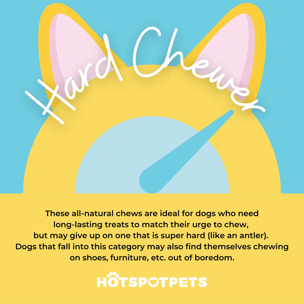 Hotspot Pets sin hormonas ni químicos para premiar.