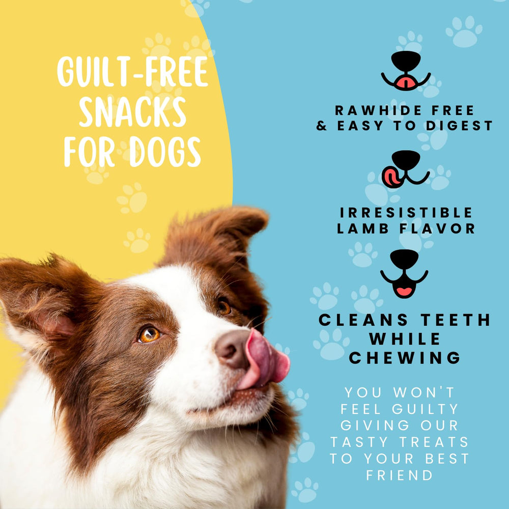 Hotspot Pets snack para entrenamiento, recompensa saludable y fácil de llevar.