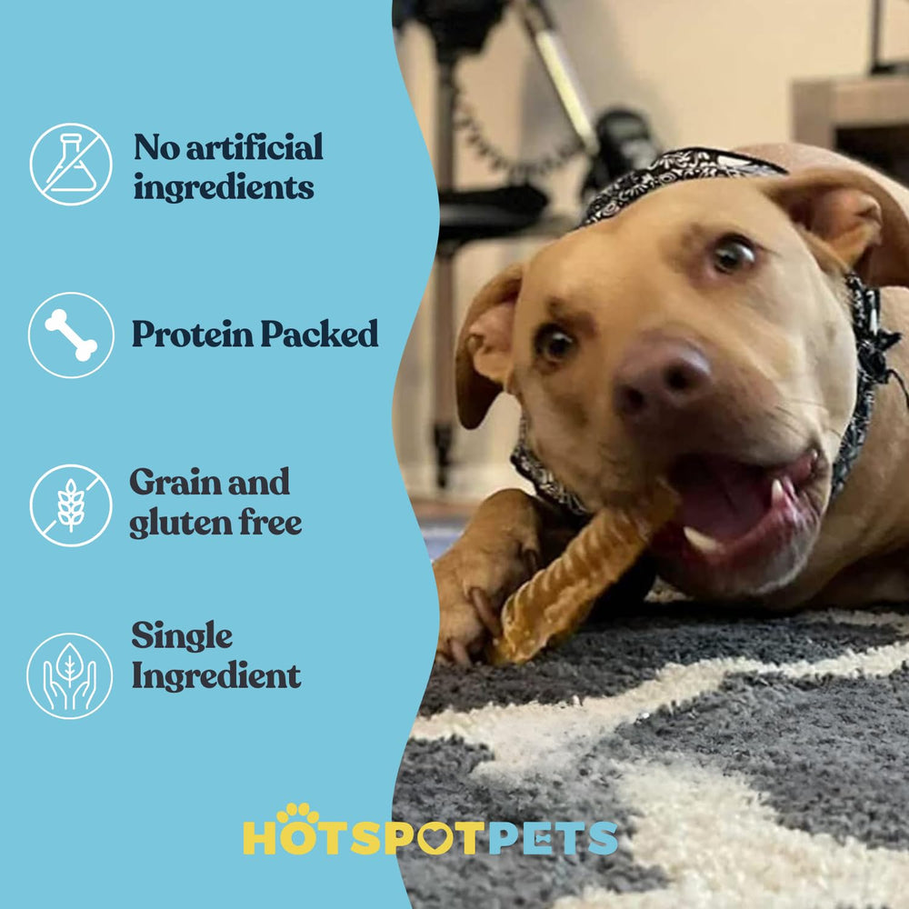 Hotspot Pets Tráquea de un solo ingrediente, snack natural y fácil de digerir