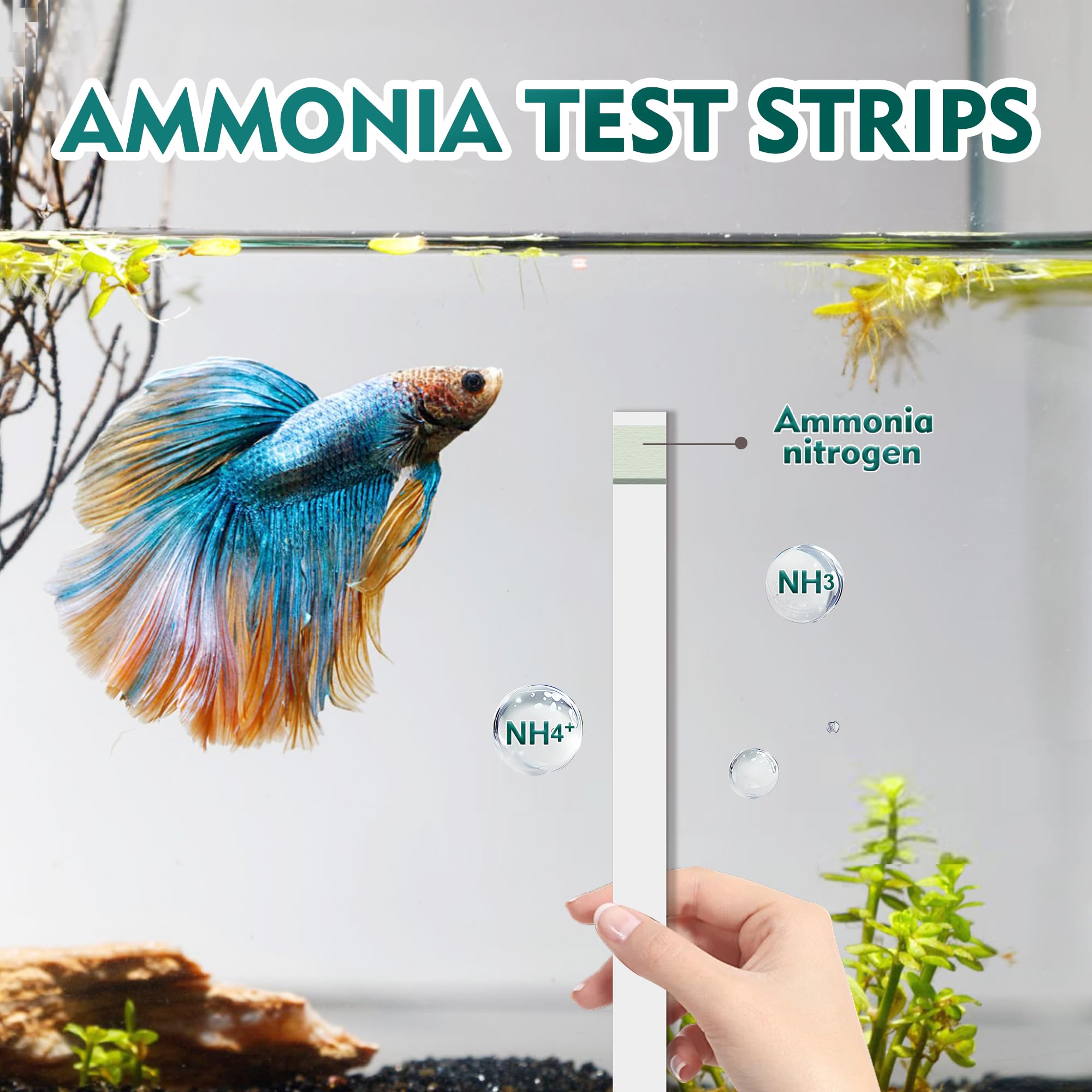 Tira HOVIRAN para acuario de agua salada, lectura estable de amoníaco