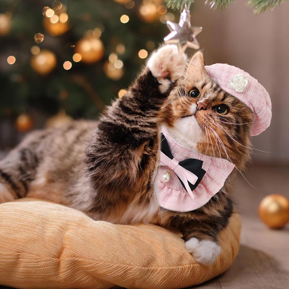 HOWWFALY vestuario princesa para mascotas, ideal para sesiones de fotos
