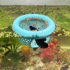 HOZOE cueva flotante para betta, refugio seguro y punto de encuentro en el acuario.