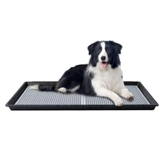HQ4US 4LEGS bandeja para perro 34×23 pulgadas, base estable para uso en interiores.