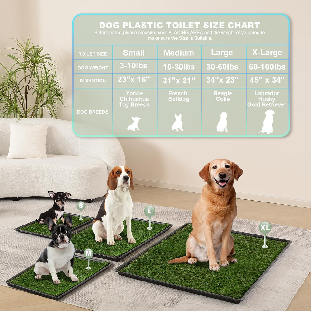 HQ4US 4LEGS: entrenamiento suave para acostumbrar al perro