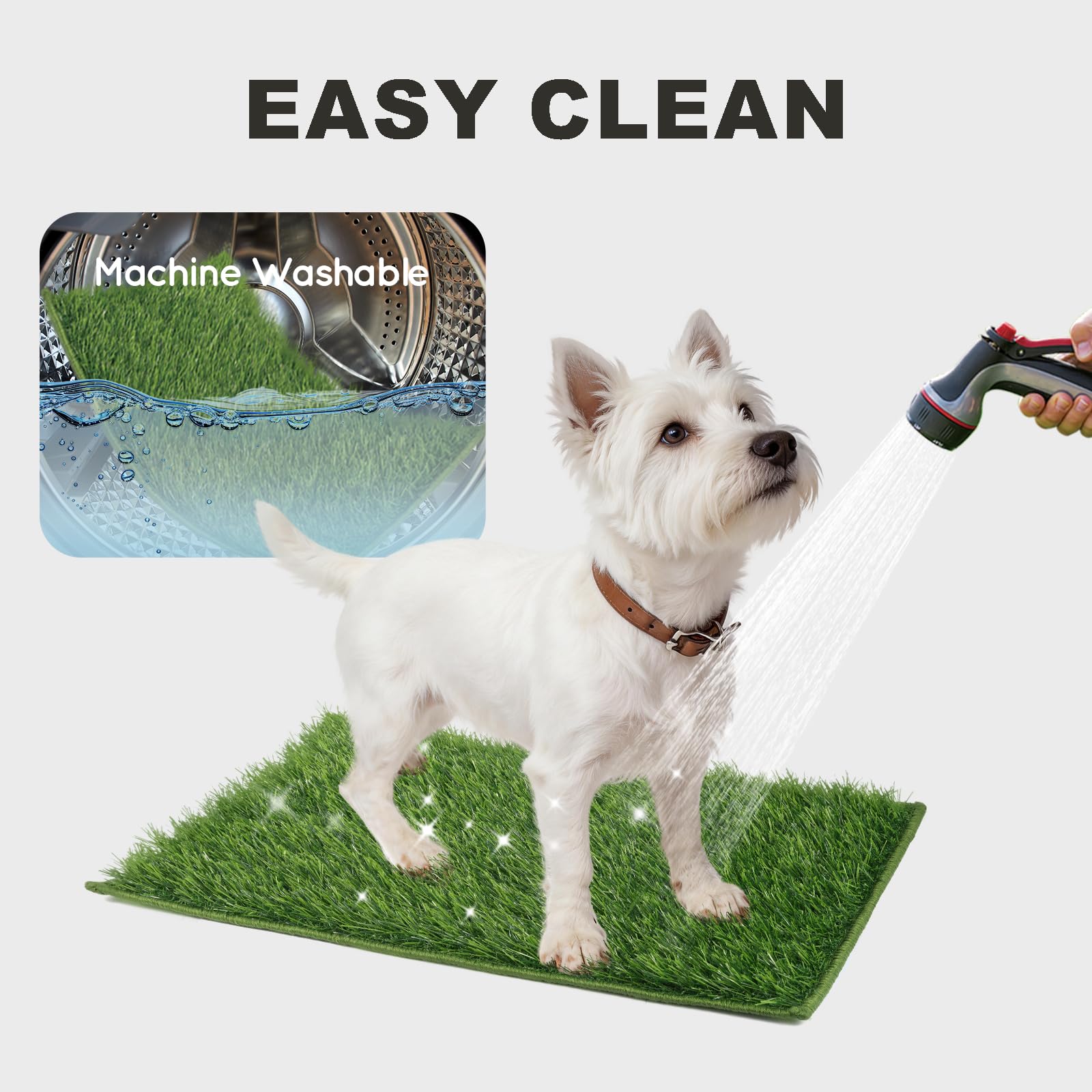 HQ4US 4LEGS: limpieza con agua para eliminar manchas