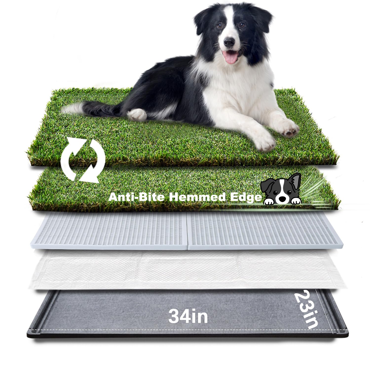 HQ4US 4LEGS bandeja para perro grande con hierba artificial, uso diario