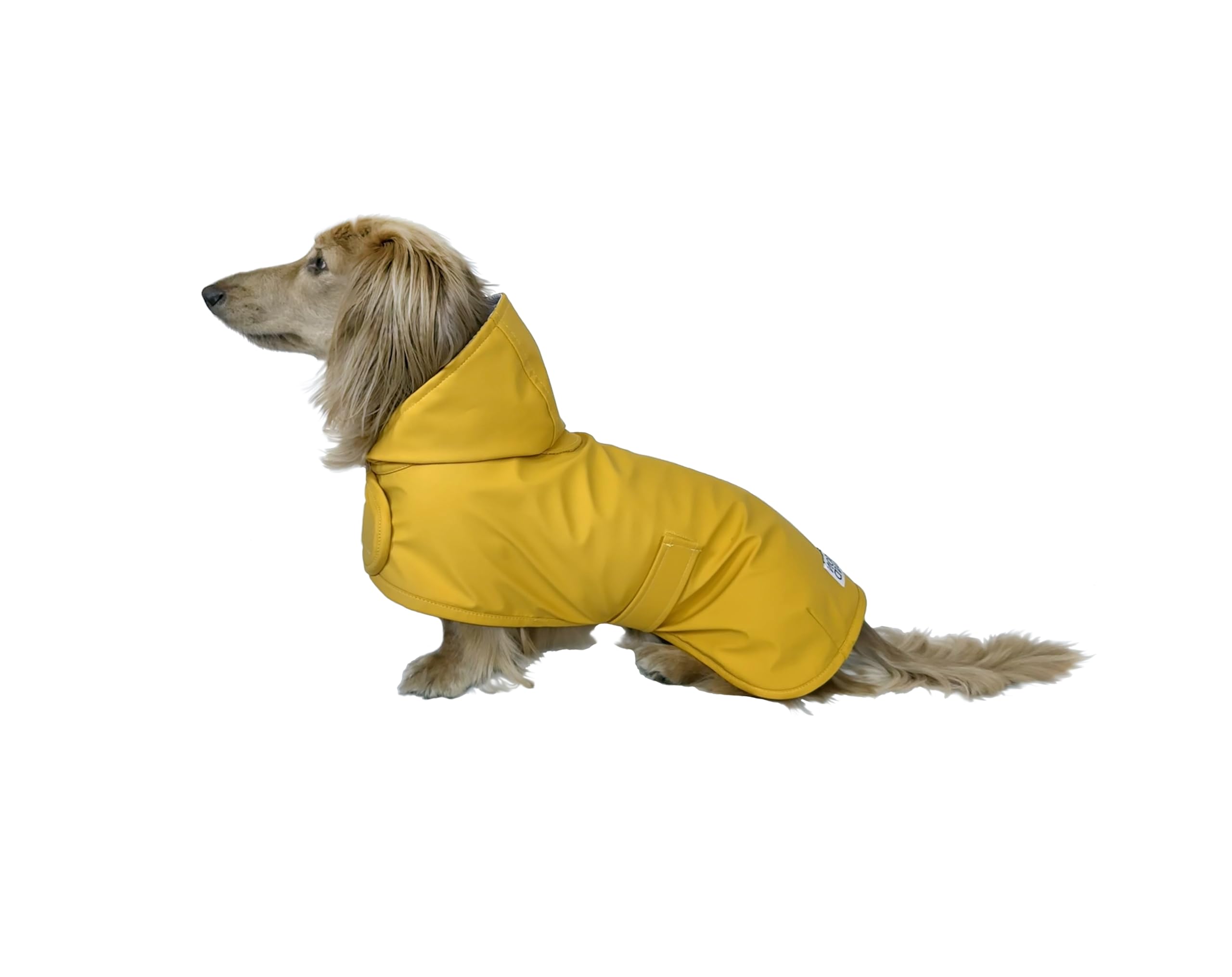 Hudson Hound capa de lluvia para dachshund amarilla XS, vista frontal, protección contra la lluvia