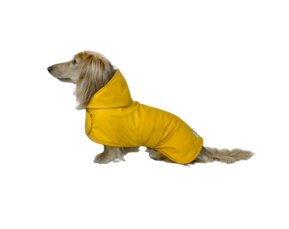 Hudson Hound capa de lluvia para dachshund amarilla XS, vista frontal, protección contra la lluvia