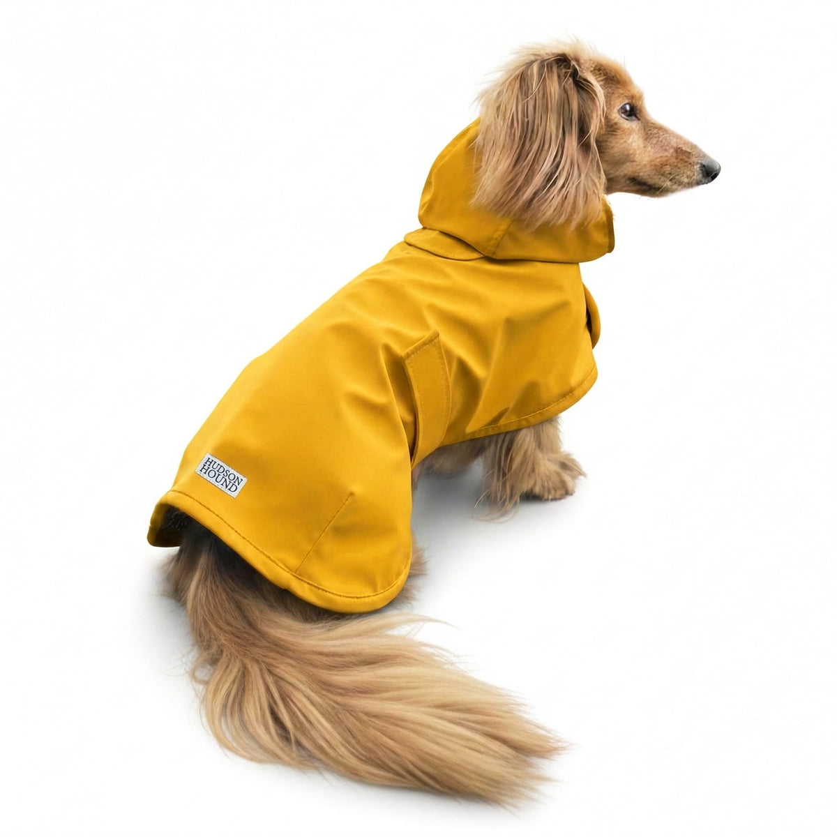Hudson Hound capa lluvia dachshund protege al perro alargado durante paseos.