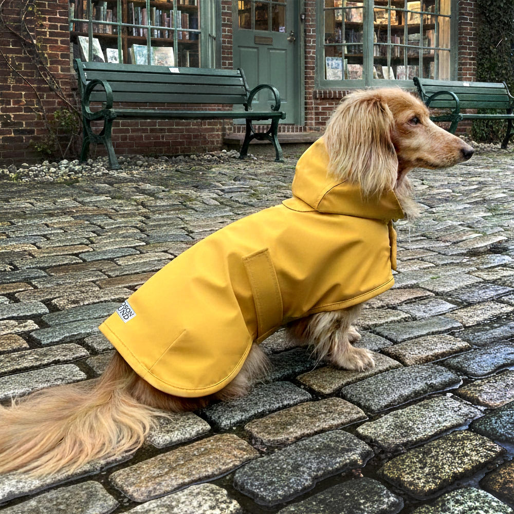 Cobertura trasera extendida de la capa Hudson Hound para dachshund amarilla XS