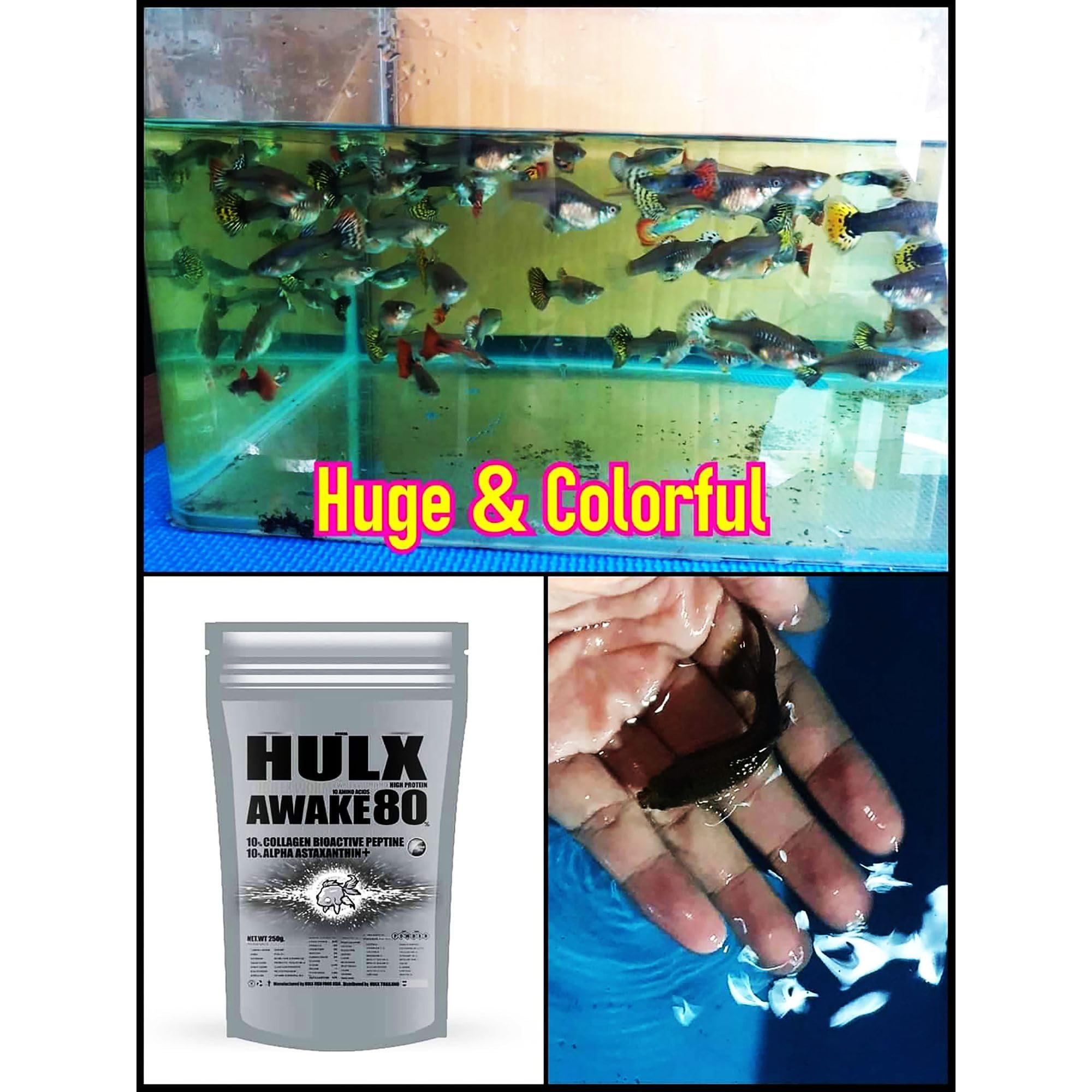 Envase de 500 g de Hulx para alimentación diaria