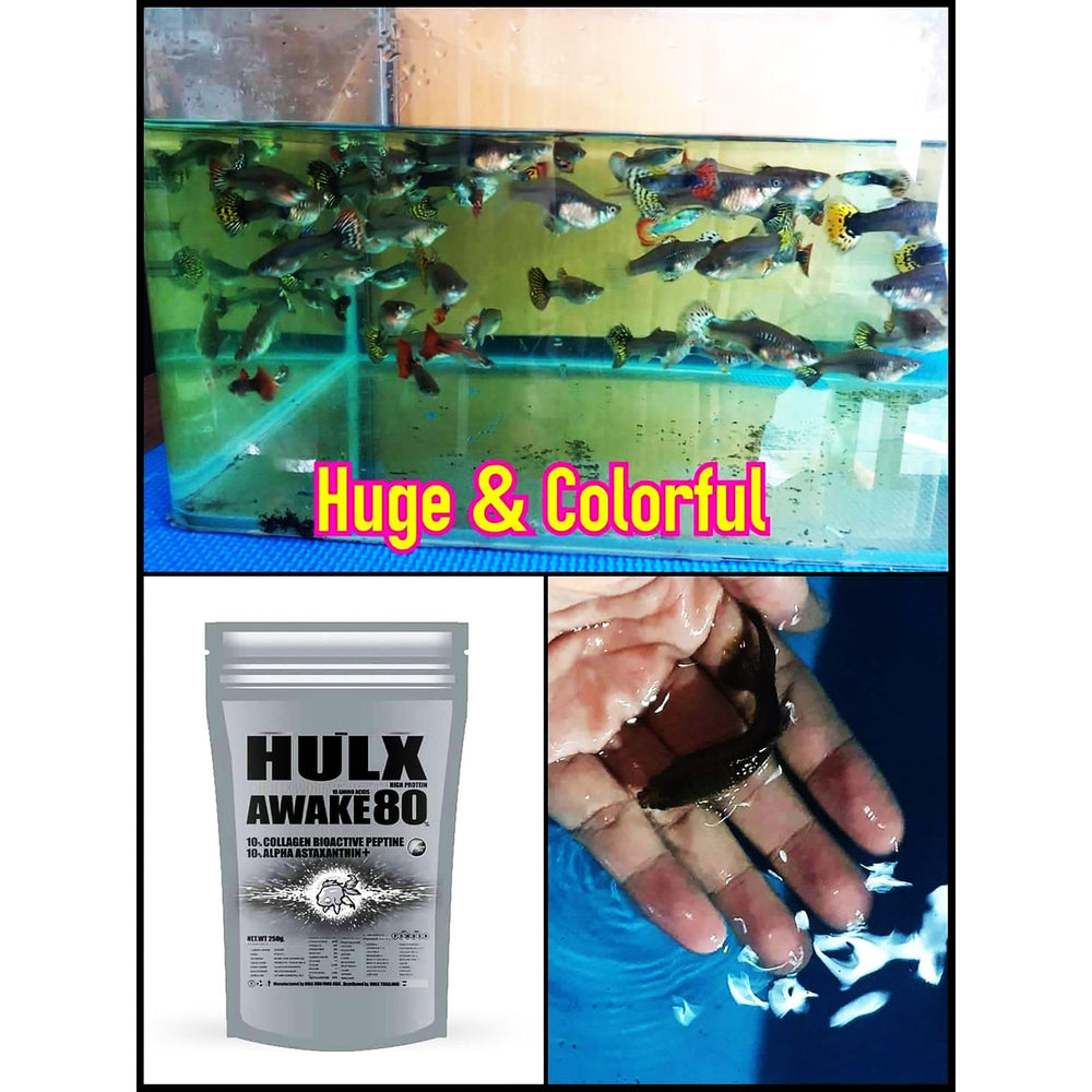 Envase de 500 g de Hulx para alimentación diaria