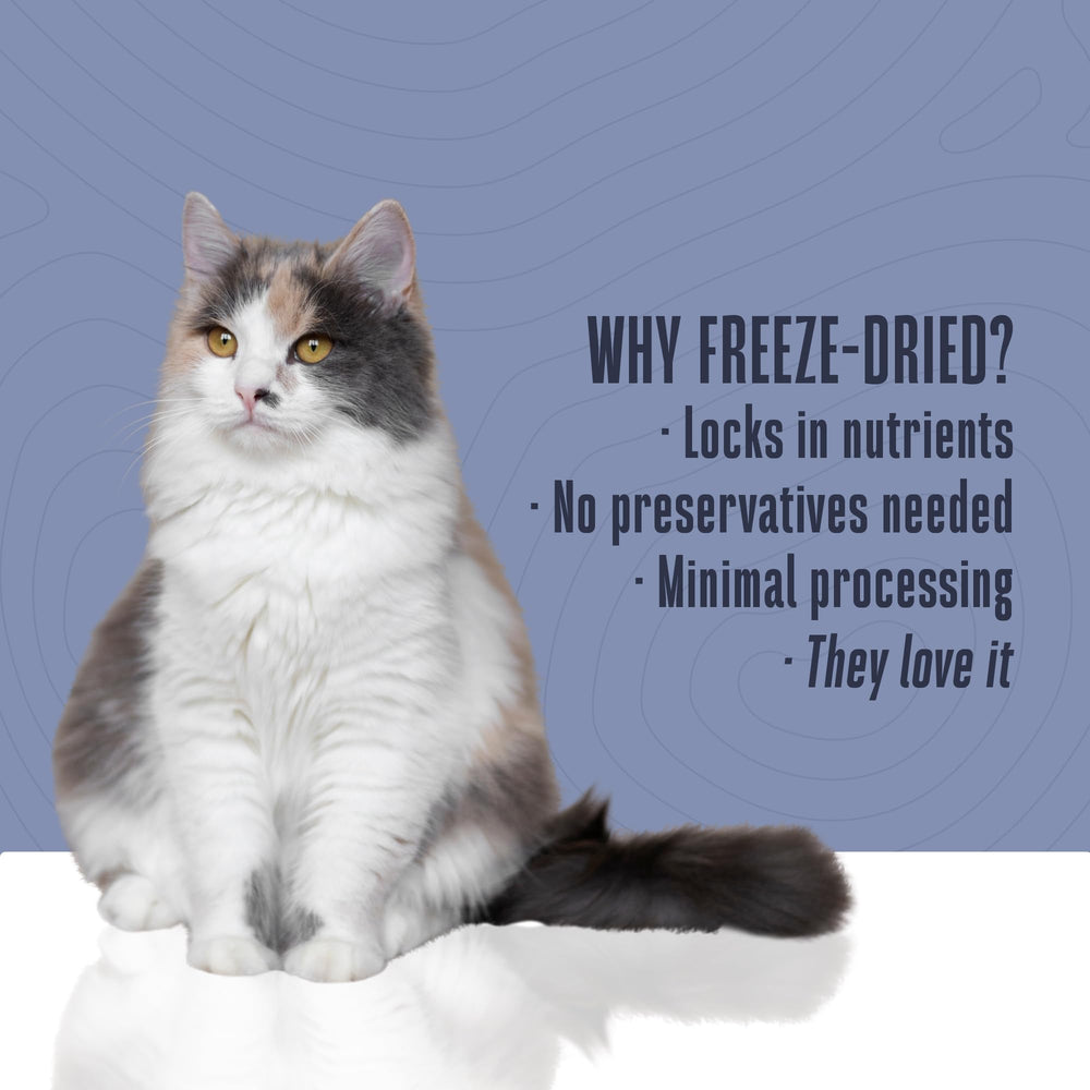 Human-grade cat food topper elevating meals with tuna goodness.