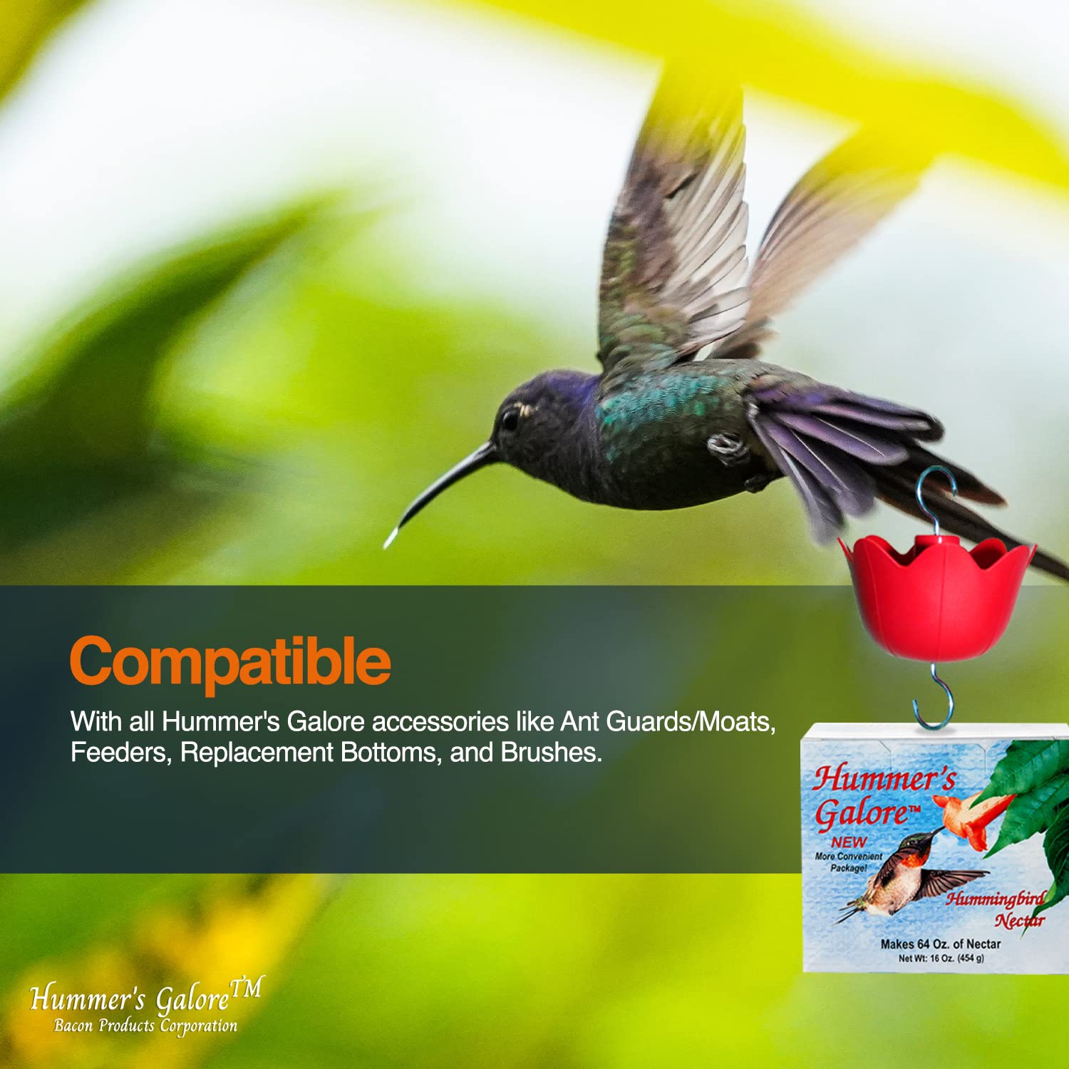 Hummer's Galore: aporta energía y nutrientes para colibries en tu jardín.