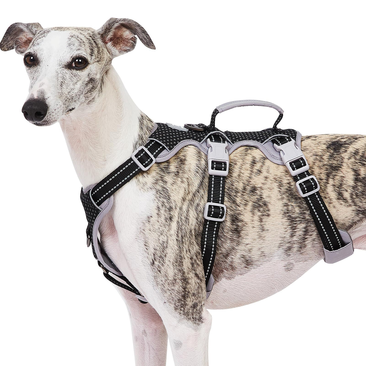 Huntboo arnés anti-escape con asa levantadora para control inmediato en paseos