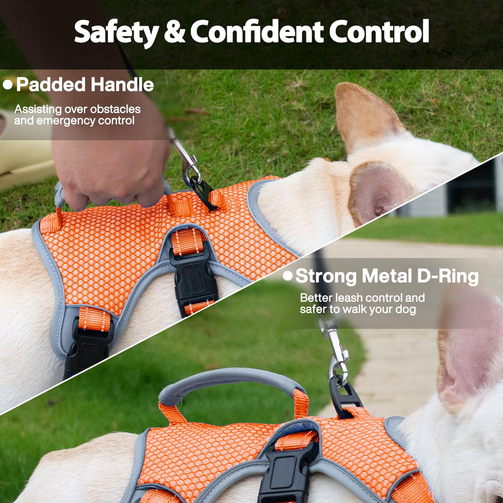 Huntboo arnés para perro con ajuste de 5 puntos, vista trasera y ajuste cómodo.