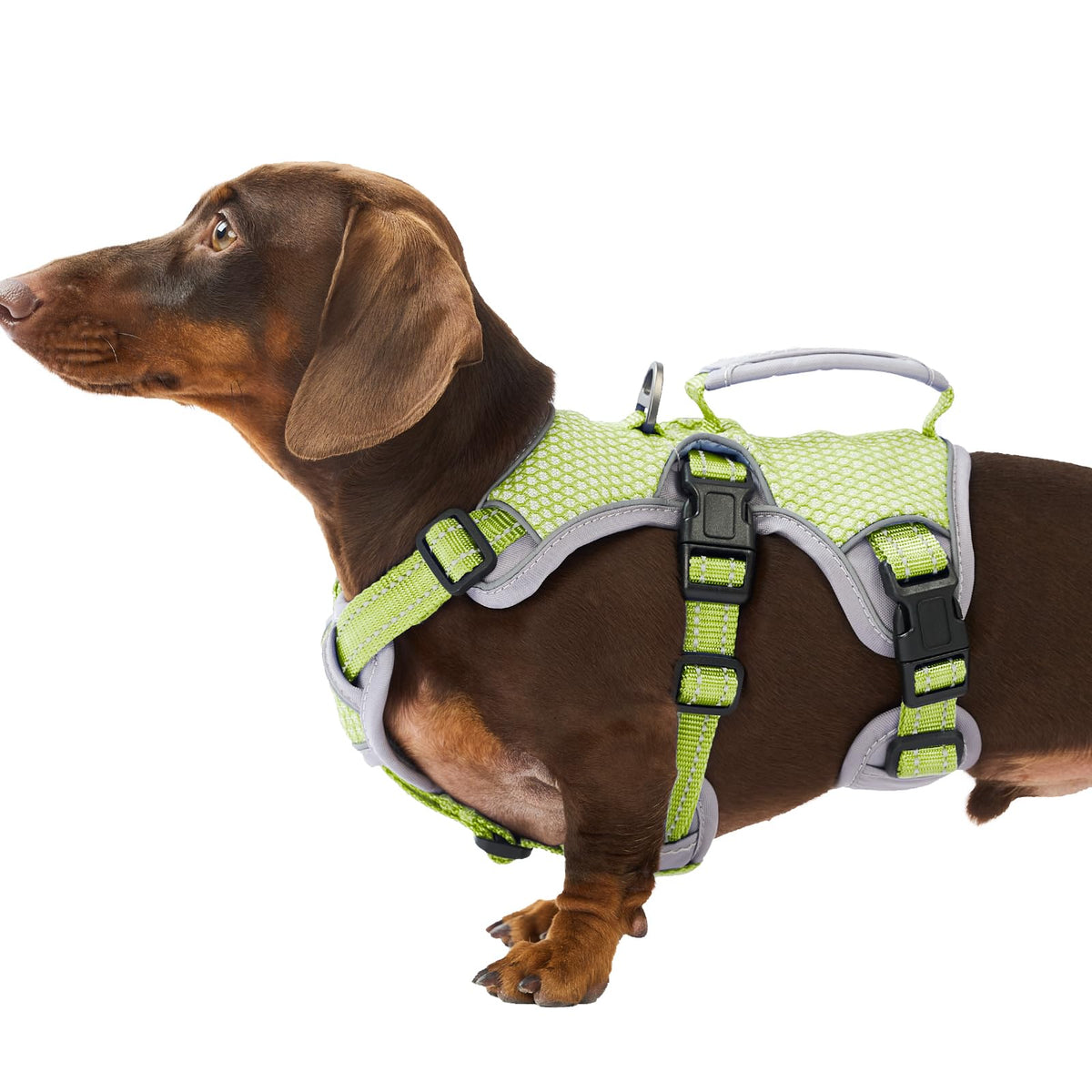 Huntboo arnés anti-fuga verde reflectante para perros, para caminatas más seguras