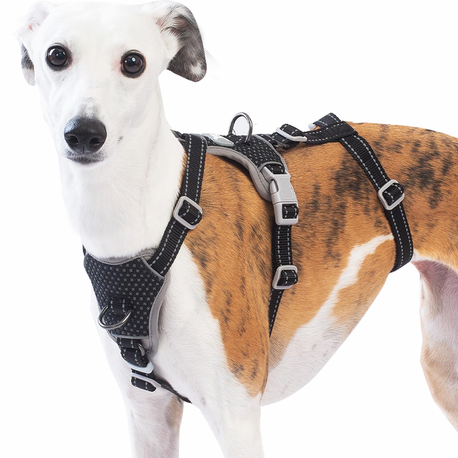 Arnés Huntboo anti-tiro frontal para control seguro durante paseos.