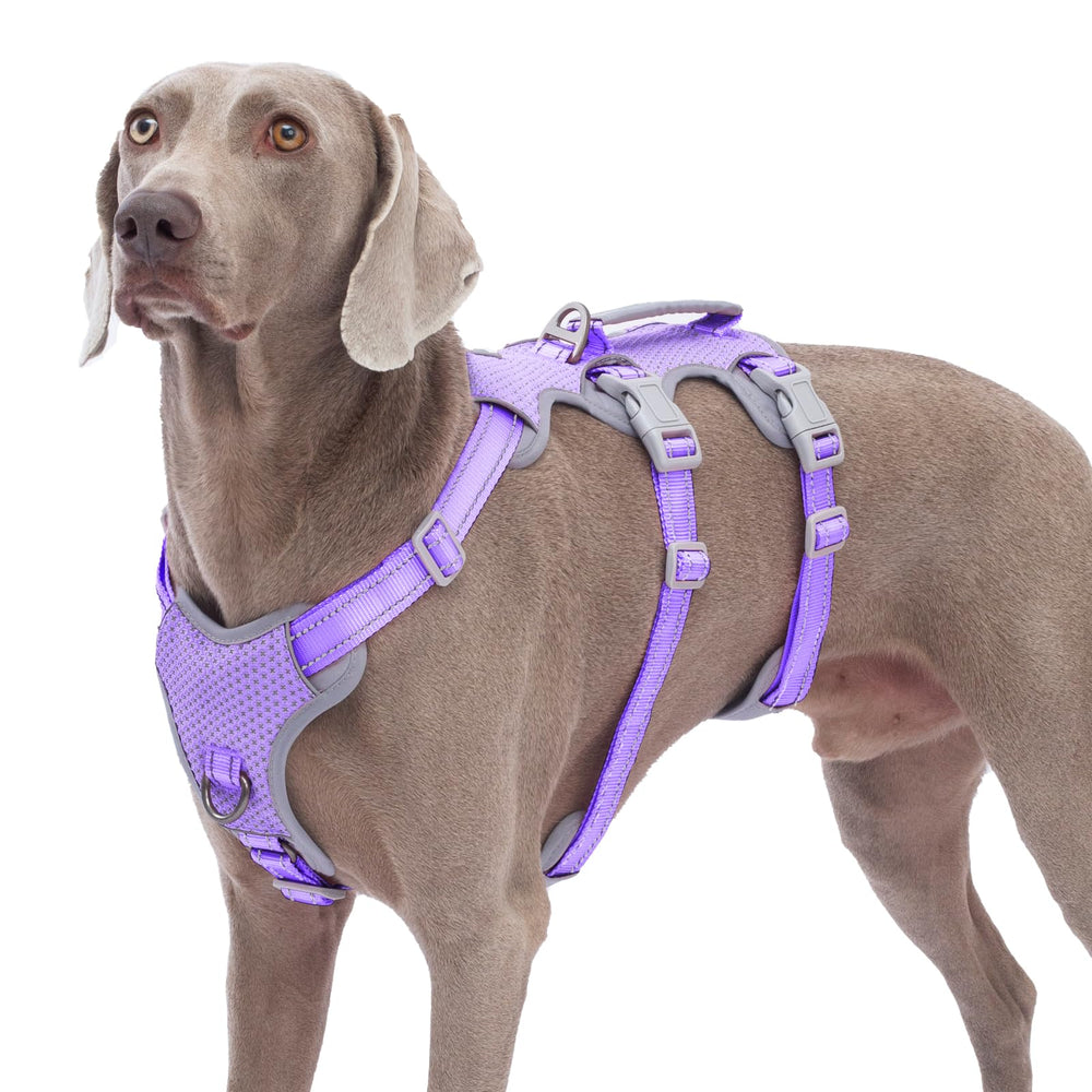 Huntboo arnés con asa reflectante para agarre seguro durante paseo