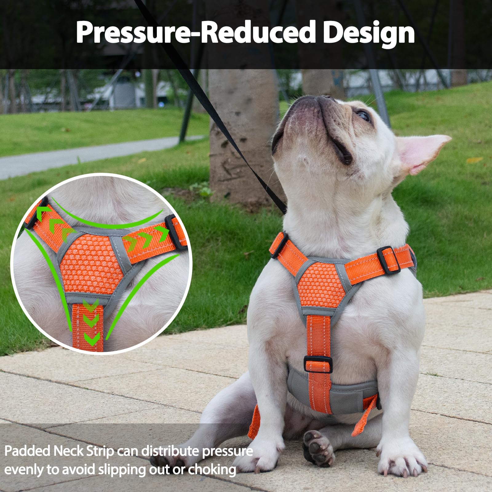 Huntboo arnés para perro con anilla de metal, vista dorsal para manejo estable.