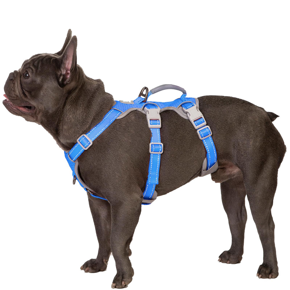 Huntboo arnés para perro con mango de asistencia para control inmediato en paseos