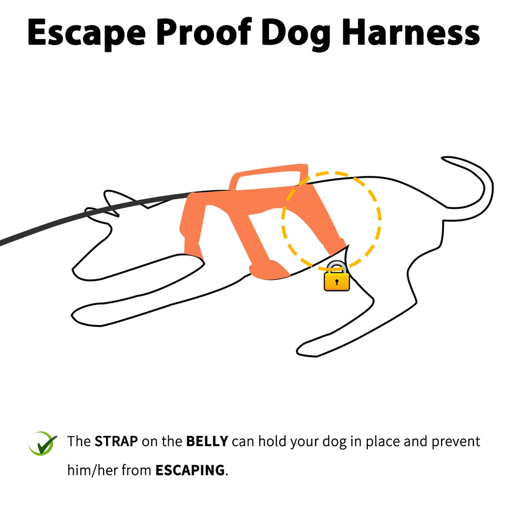 Huntboo arnés para perro, vista frontal con diseño reflectivo para visibilidad nocturna.