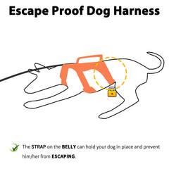 Huntboo arnés para perro, vista frontal con diseño reflectivo para visibilidad nocturna.