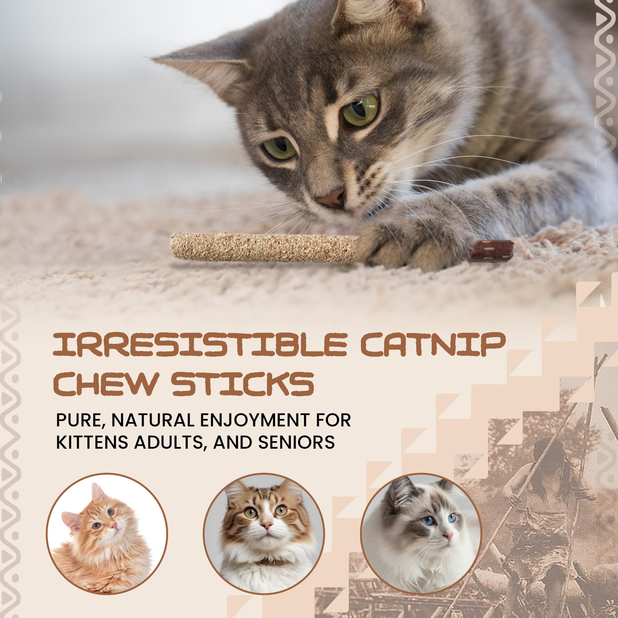 HUPA Cat Chew Sticks apoya una digestión saludable.